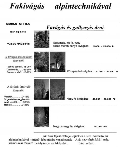 favagas_arai.jpg